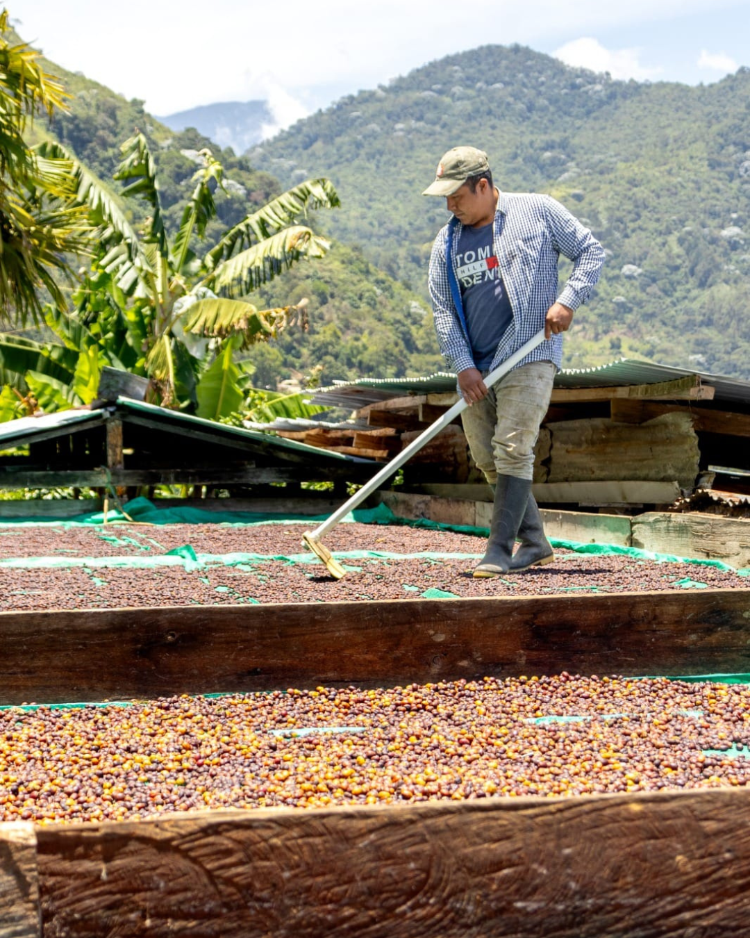 From Bean to Cup: The Story Behind Cesar Buesaquilla's Coffee