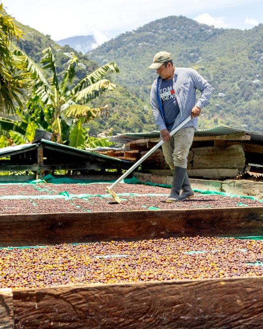 From Bean to Cup: The Story Behind Cesar Buesaquilla's Coffee